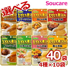 選べる 4種×10袋 やさしくラクケア とろとろ煮込み 80g 合計40袋ハウス食品 食事 食事サポート 手軽 栄養補助 介護食 おかず 区分4 かまなくてよい