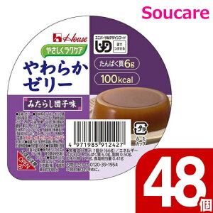 ₳NPA 炩[[ ݂炵cq 66g 48Zbg nEXHi H HT|[g y h{⏕ H fU[g 敪3 łԂ