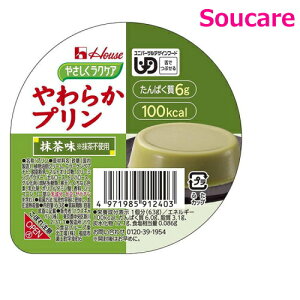 ₳NPA 炩v  63g Pi̔nEXHi H HT|[g y h{⏕ H fU[g 敪3 łԂ