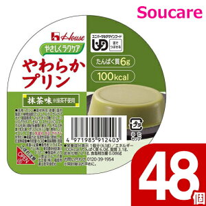 ₳NPA 炩v  63g 48Zbg nEXHi H HT|[g y h{⏕ H fU[g 敪3 łԂ