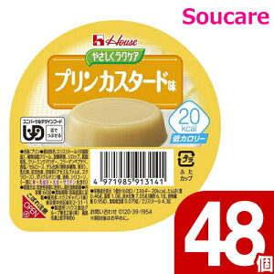 ₳NPA vJX^[h 60g 20kcal 48Zbg nEXHi H HT|[g y h{⏕ H fU[g 敪3 łԂ