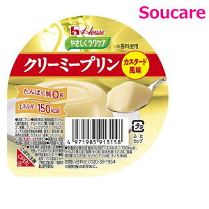 ₳NPA N[~[v JX^[h 63g 150kcal Pi̔nEXHi H HT|[g y h{⏕ H fU[g ς0g