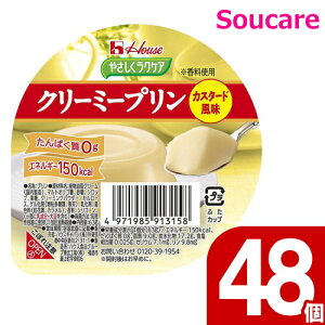 ₳NPA N[~[v JX^[h 63g 150kcal 48Zbg nEXHi H HT|[g y h{⏕ H fU[g ς0g
