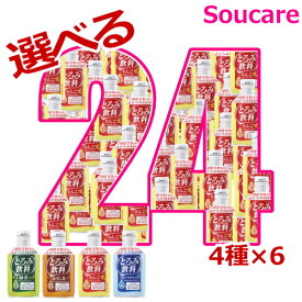 6月SS 介護食 エバースマイル とろみ飲料 選べるセット 4種類×6本 合計24本 大和製罐 熱中症 対策 夏 脱水 嚥下 水分補給 とろみ