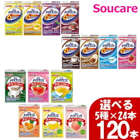 選べる5種×24本 メイバランス ぎゅっと Mini メイバランス mini パック 合計120本 明治 栄養補助 栄養補給 介護食 防災 備蓄 常温 保存 飲みきりサイズ