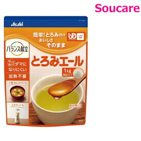 とろみエール HB9 1kg 単品販売 アサヒグループ食品 介護食 療養食 流動食 えん下 嚥下 とろみ とろみ調整食品