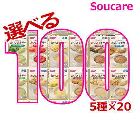 介護食 ホリカフーズ おいしくミキサー 選べるセット 5種×20袋 100袋 区分4 かまなくてよい 食事 食事サポート 手軽 介護食 おかず 主食 嚥下補助 嚥下障害 レトルト やわらか ミキサー食