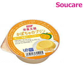 栄養支援 かぼちゃのプリン 54g 84kcal 単品販売 ホリカフーズ 食事 食事サポート防災 常温 手軽 栄養補助 介護食 食べやすい やわらかい 柔らかい 嚥下補助 嚥下障害 デザート おやつ たんぱく質5.6g