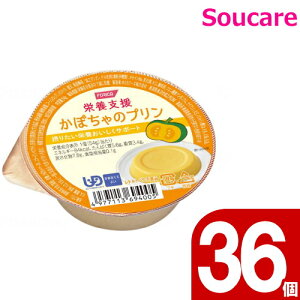 h{x ڂ̃v 54g 84kcal 36 zJt[Y H HT|[gh 퉷 y h{⏕ H Hׂ₷ 炩 _炩 ⏕ Q fU[g  ς5.6g