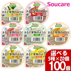  [[ h{⋋ Iׂ 5×20 ₳NPA ܂ŉʕ̂悤ȃ[[ 60g 100 nEXHi H HT|[g y h{⏕ H fU[g 敪3 łԂ