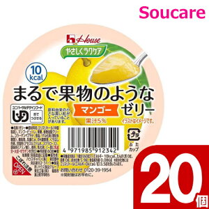  [[ h{⋋ ₳NPA ܂ŉʕ̂悤ȃ[[ }S[ 60g 20 nEXHi H HT|[g y h{⏕ H fU[g 敪3 łԂ