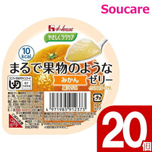  [[ h{⋋ ₳NPA ܂ŉʕ̂悤ȃ[[ ݂ 60g 20 nEXHi H HT|[g y h{⏕ H fU[g 敪3 łԂ