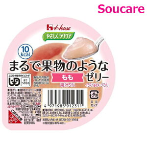  [[ h{⋋ ₳NPA ܂ŉʕ̂悤ȃ[[  60g Pi̔ nEXHi H HT|[g y h{⏕ H fU[g 敪3 łԂ