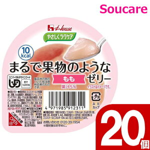  [[ h{⋋ ₳NPA ܂ŉʕ̂悤ȃ[[  60g 20 nEXHi H HT|[g y h{⏕ H fU[g 敪3 łԂ