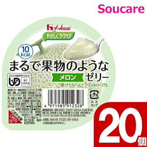  [[ h{⋋ ₳NPA ܂ŉʕ̂悤ȃ[[  60g 20 nEXHi H HT|[g y h{⏕ H fU[g 敪3 łԂ