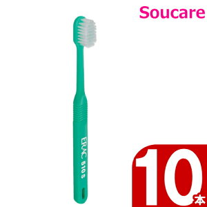 fgEGbN 510 DZKAS2 Si\tgj 10{ CI oPA I[PA ݂ uV  W jS