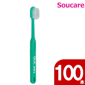 fgEGbN 510 DZKAS2 Si\tgj 100{ CI oPA I[PA ݂ uV  W jS