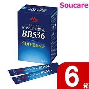 rtBYXۖBB536 2g×30{ 0641620 6 Xi NjR H HT|[g  y h{⏕ K Nێ ̓𐮂