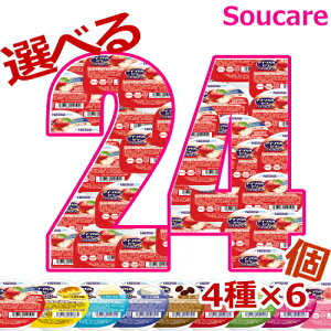 Iׂ4×6 AC\J[[ nCJ[ 66g 150kcal v24 lX{ H HT|[g  y h{⏕ K Nێ