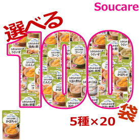 介護食 キューピー やさしい献立 お好みで選べる かまなくてよい 100袋セット 5種×20袋 区分4 かまなくてよい 食事 食事サポート 手軽 介護食 おかず 主食 嚥下補助 嚥下障害 レトルト やわらか