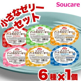 高齢者 ゼリー 栄養補給 森永 クリニコ エンジョイ小さなハイカロリーゼリーおためしセット 40g 6種×1個セット 食事 食事サポート 介護 手軽 栄養補助 生活習慣 健康維持