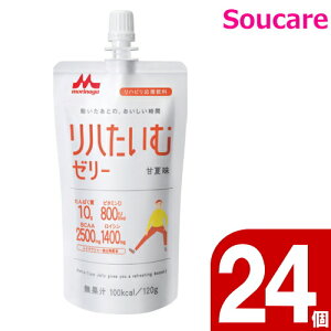 nރ[[ ÉĖ 120g 24Zbg Xi NjR [[ BCAA nr̉h{⋋ y h{⏕ h{⋋ ⏕ y Q ېHQ