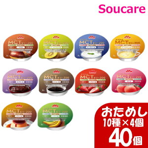 ߂ 40 GWCMCT[[200 10×4 72g Xi NjR H HT|[g y H MCT