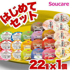おためし 22個 エンジョイMCTゼリー200 10種 エンジョイ小さなハイカロリーゼリー 6種 和風だし香る茶碗蒸し 6種 森永クリニコ 食事 食事サポート 手軽 介護食 MCT エネルギー補給 はじめてセッ