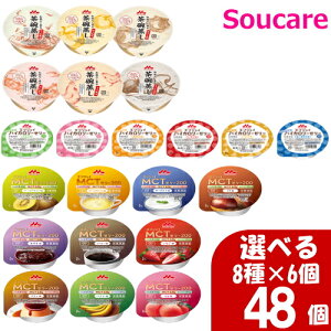 Iׂ8×6 GWCMCT[[200 72g GWCȃnCJ[[[ 40g a钃q 80g v48 XiNjR H HT|[g y H MCT GlM[⋋ J