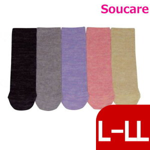 SƂȂ \bNX L-LL ATq C  ߗi 