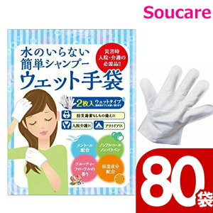 ̂ȂAȂVv[ SKK002 EFbg / 2 80 l̔ ً} h ЊQ p f q S oR AEghA@Lv