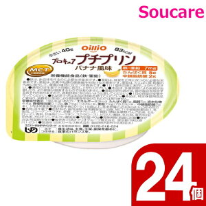 vLAv`v oii 40g 24 ICIO[v ς MCT b_ S  h ~ 퉷 ۑ h{⏕ h{⋋