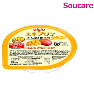 エネプリン マンゴー味 40g 単品販売 日清オイリオグループ 食事 食事サポート 少量 手軽 介護食 MCT たんぱく質0