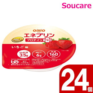 Glv veCvX  021169 40g 24Zbg ICIO[v H HT|[g  y H MCT {ЊQHF