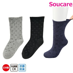  Ȍ锧ȃ\bNX 24~26cm `R[ElCr[EO[ amp jp Y C { @   ނ ₦   PAt@bV VjAt@