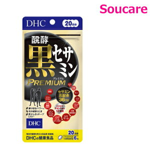 DHC yZT~ v~A 20 120^̃v~AI ZT~ŃGlMbVȖI 1