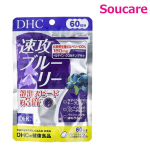 DHC Uu[x[ 60 120k쐶rx[100 180mgB 1