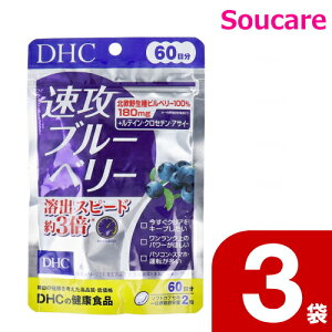 DHC Uu[x[ 60 120k쐶rx[100 180mgB 3