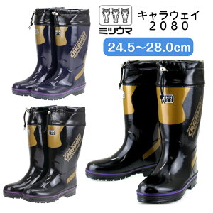 ~cE} LEFC 2080 Y h@Cu[c@C Xm[u[c  Z~bN\[ Ɨp