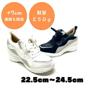 Xj[J[  6cm fB[X y Xj[J[ fB[XV[Y _bhXj[J[  킢   y ₷ ɂ ɂȂ XEF[h ubN 