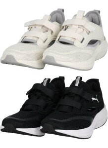 PUMA SOFTRIDE ���[�u�I�� R JF 313416