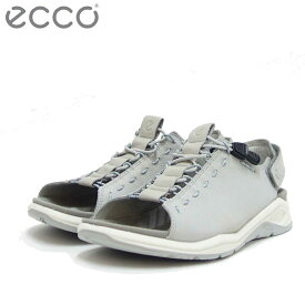 楽天市場 Ecco 靴 レディースの通販