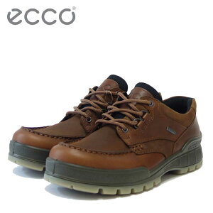 �G�R�[ ECCO TRACK25 MENS LOWCUT GTX �o�C�\�� 831714 53010�i�����Y�j�S�A�e�b�N�X���� �V�R��v �E�H�[�L���O �V���[�Y �R���t�H�[�g ���U�[�X�j�[�J�[ �u�C�v