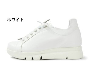 yz l Monet 243402 t@Xi[fUCXj[J[ U[Xj[J[ LXj[J[ fB[XXj[J[ 4E L { y VRv {v b O t@Xi[t 