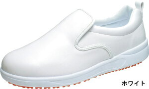 y(A)z ATqRbN 101 RbNV[Y Lb`V[Y ~[C bNXV[Y 3E y h ϊ ϖ d ƌC Ɩp ɂ jp Y 