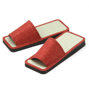 p p^^~Xbp 1541 25.0cm Rێ T_ a  p fB[X V[YNuC lbgVbsO