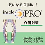 【公式】【あす楽】【サイズ交換可】【インソールプロレディースO脚対策】【3,240円以上で送料無料!】女性用衝撃吸収O脚オー脚インソール中敷き日本製