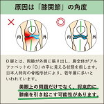 【公式】【あす楽】【サイズ交換可】【インソールプロレディースO脚対策】【3,240円以上で送料無料!】女性用衝撃吸収O脚オー脚インソール中敷き日本製