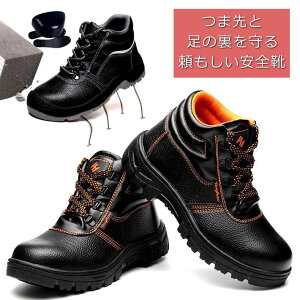 SC |Sc Xj[J[ u[c V[Y Y ̓ 蕨 v[g Z[teB[V[Y ϖ h ubN  7995363 Ɨp ƌC   nCJbg Bݔ