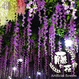 楽天市場 魔除け 植物の通販